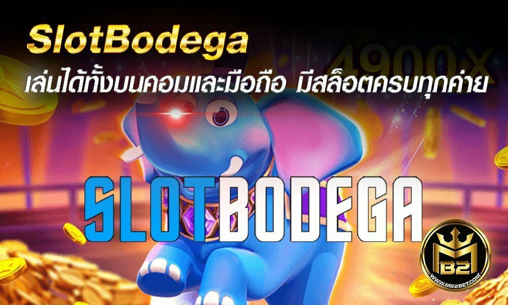 SlotBodega เล่นได้ทั้งบนคอมและมือถือ มีสล็อตครบทุกค่าย 2021