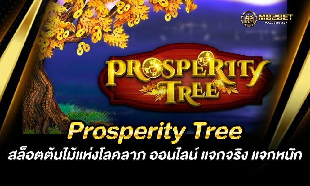 Prosperity Tree สล็อตต้นไม้แห่งโลคลาภ ออนไลน์ แจกจริง แจกหนัก